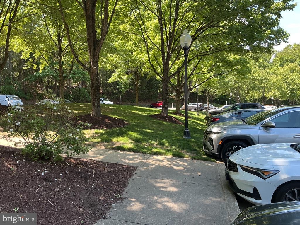 Timberbrook Ln, Gaithersburg, MD 20878 #1