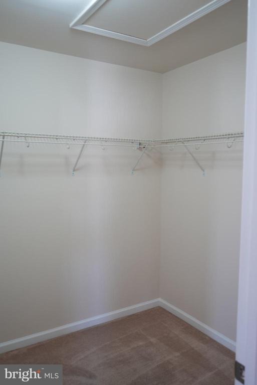 Saint Christopher Dr, White Plains, MD 20695 #1