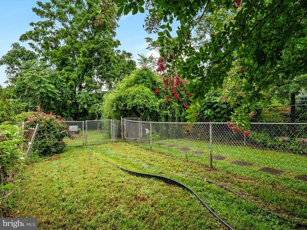 Clay St, Annapolis, MD 21401 #1