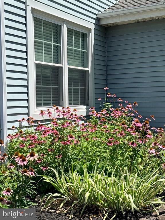 Carousel Cir, Doylestown, PA 18901 #1