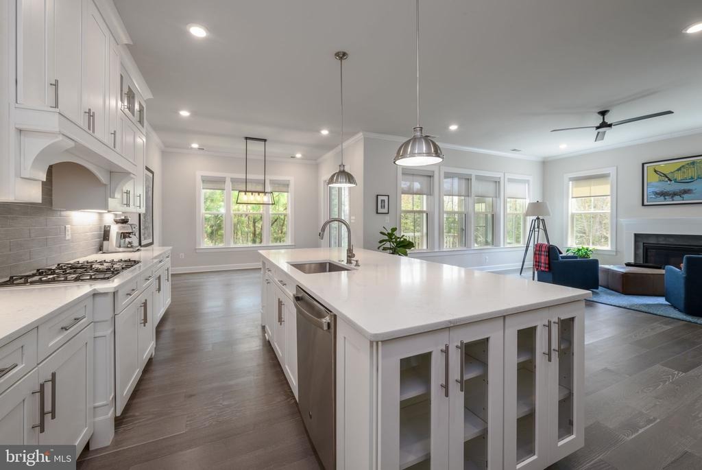 Sawgrass Dr, Rehoboth Beach, DE 19971 #1