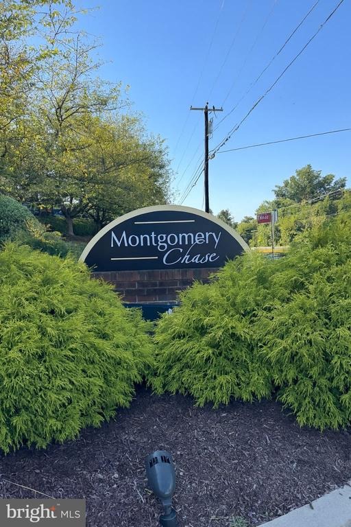 Chesterwood Dr, Silver Spring, MD 20906 #1