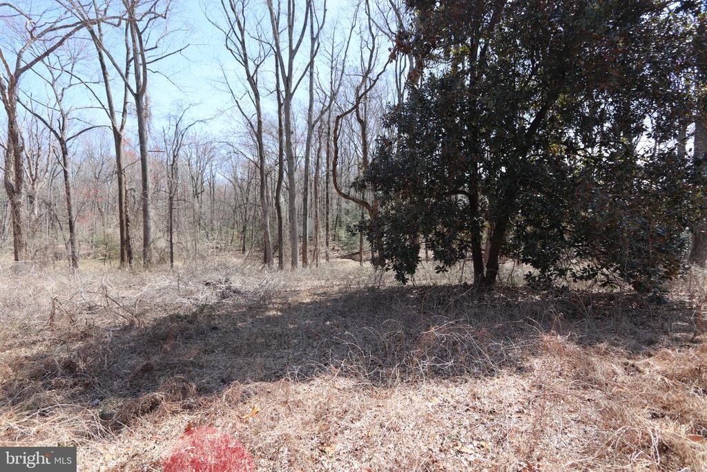 Raby Rd, Waldorf, MD 20601 #1