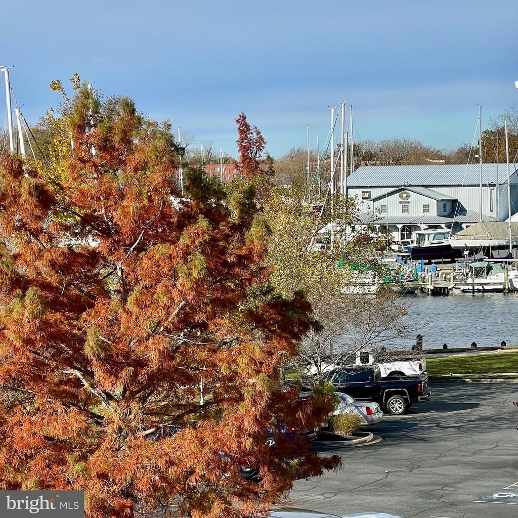 Seaway Ln, Cambridge, MD 21613