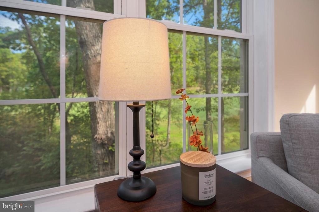 Eastover Pkwy, Locust Grove, VA 22508 #1