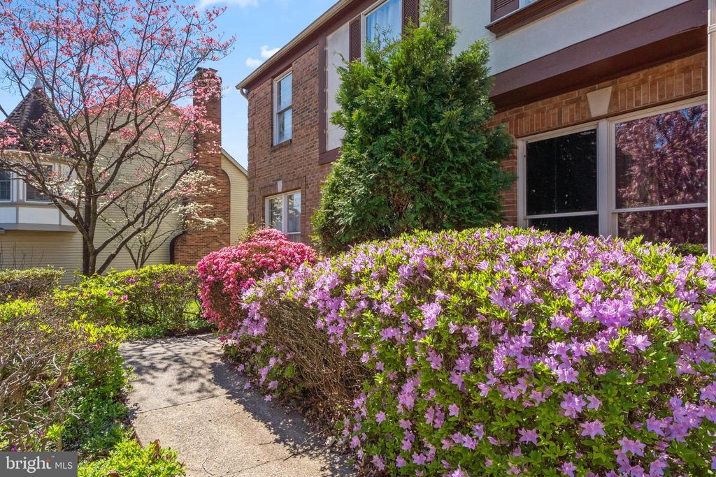 Kennington Pl, Fairfax, VA 22032 #1