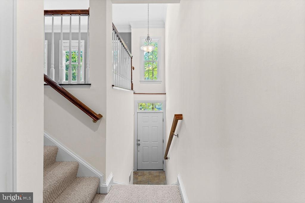 Whitehall Dr, Silver Spring, MD 20904