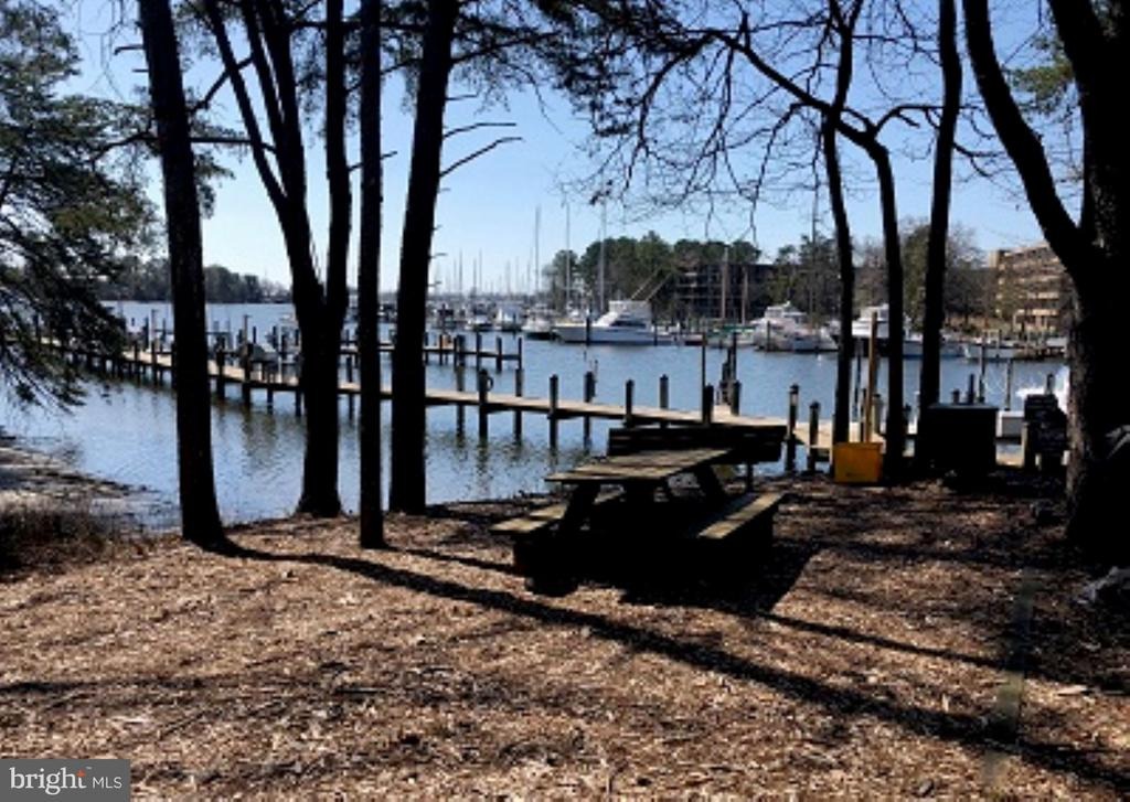 Runabout Loop, Solomons, MD 20688 #1
