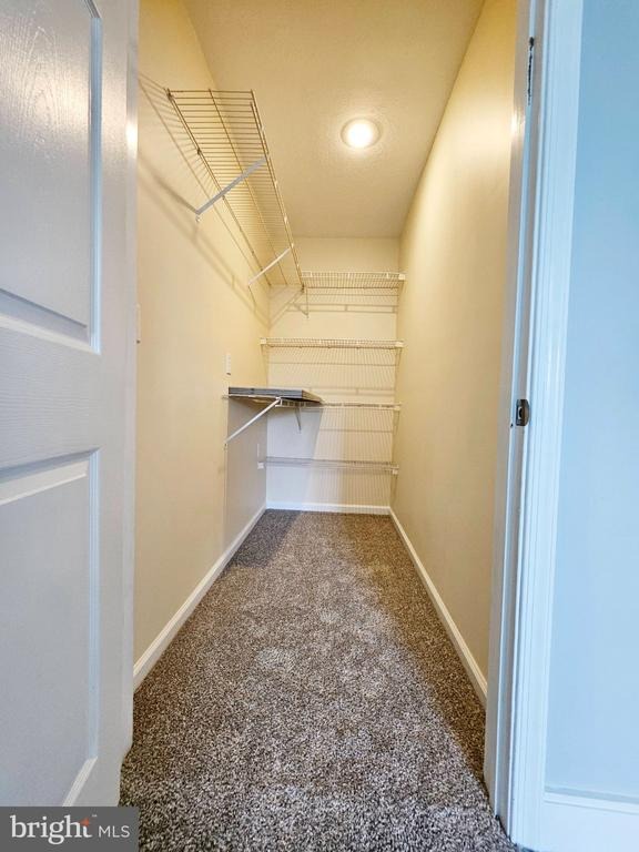 Esau St, Hollidaysburg, PA 16648 #1