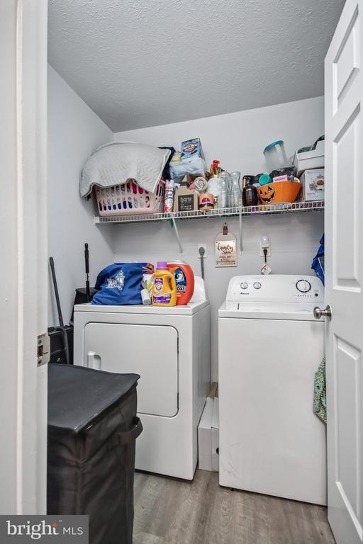Torrie Way, Bealeton, VA 22712 #1