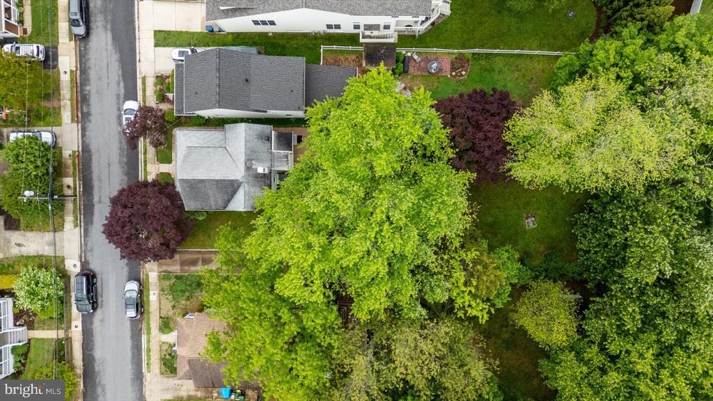 Woodlawn Ave, Annapolis, MD 21401