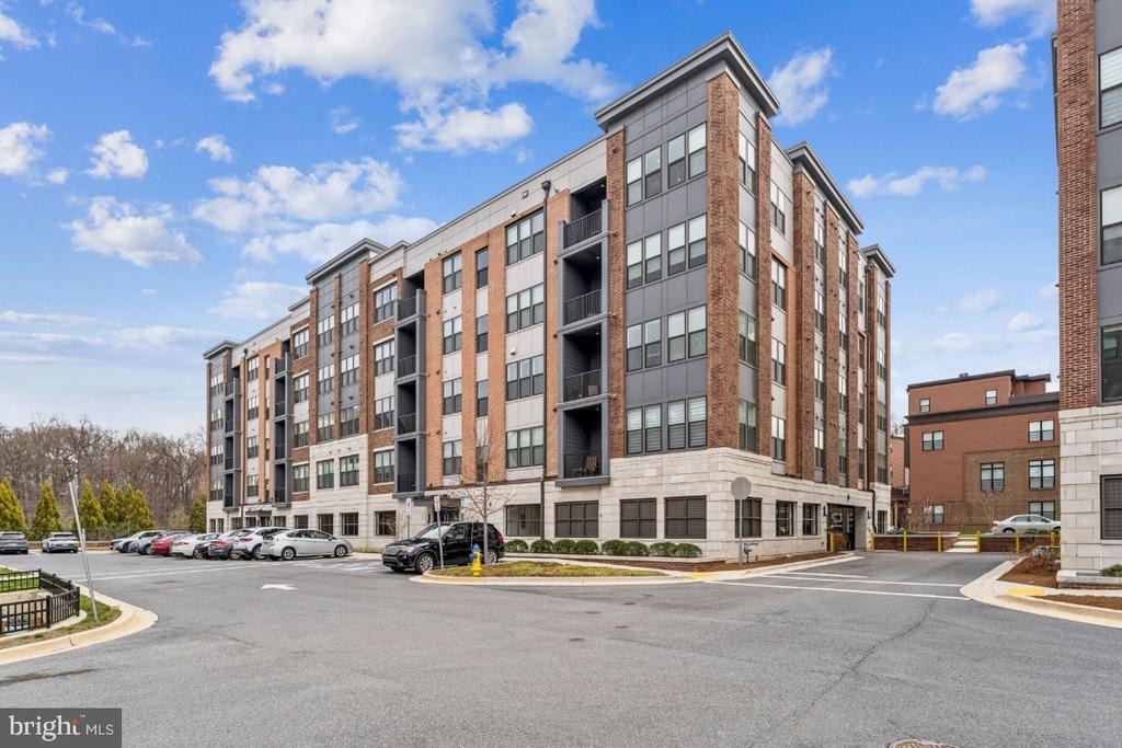 Bellflower Ln, Rockville, MD 20852 #1
