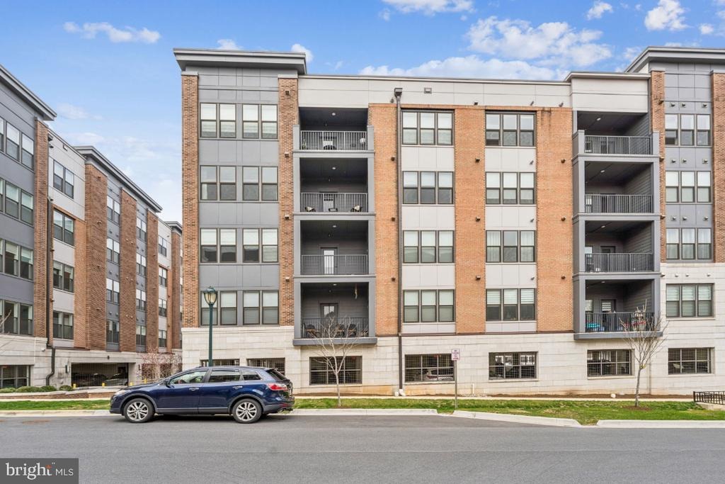 Bellflower Ln, Rockville, MD 20852