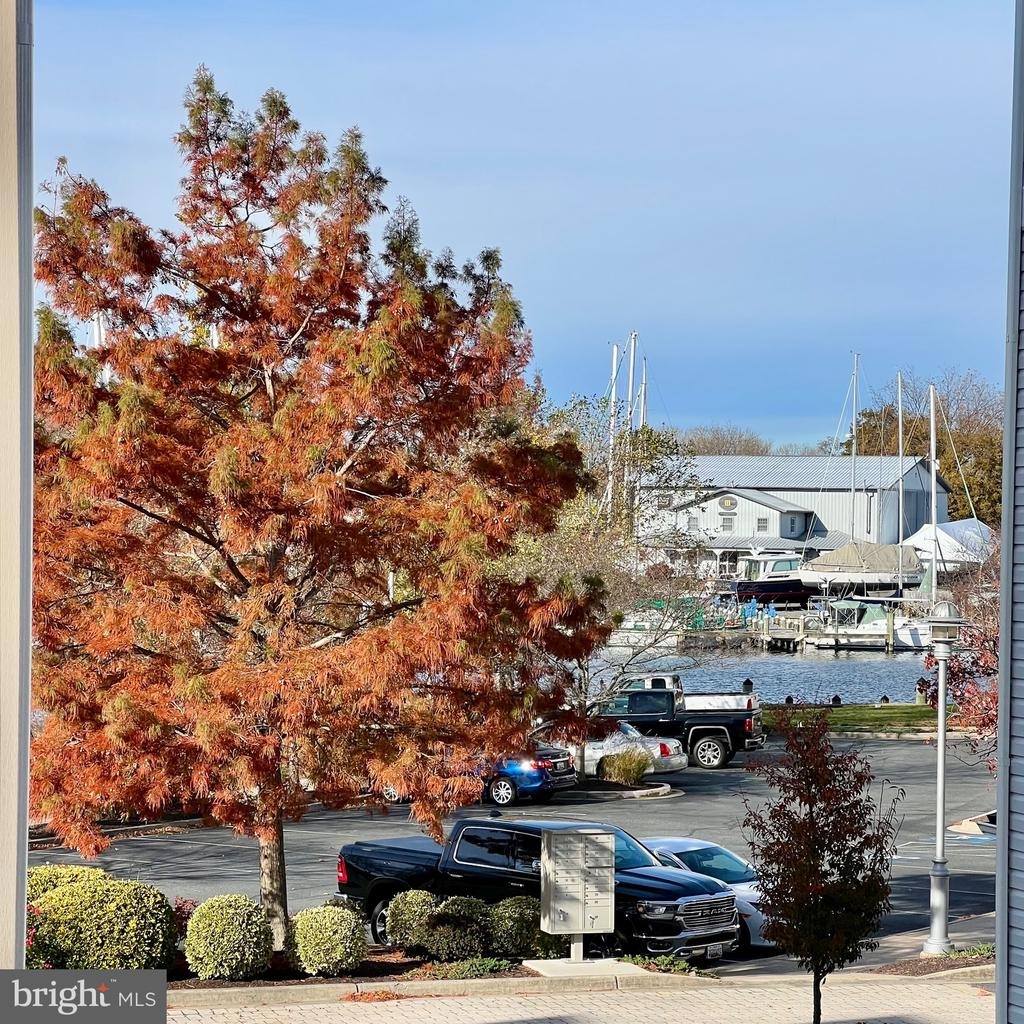 Seaway Ln, Cambridge, MD 21613 #1