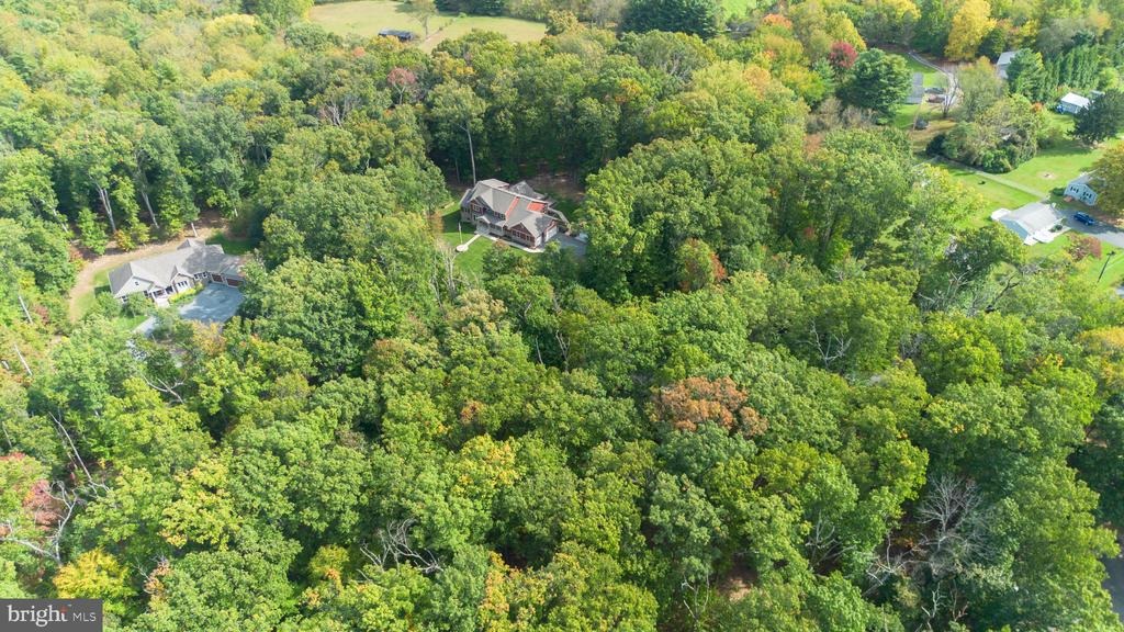 Chestnut Grove Rd, Frederick, MD 21701 #1