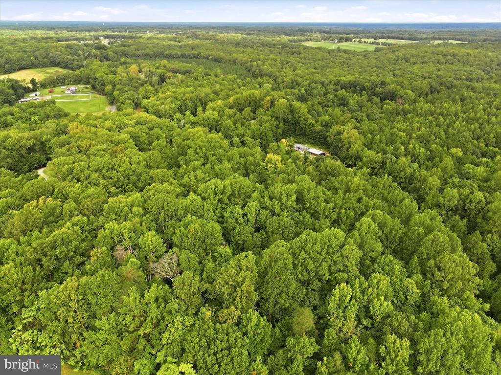 Chapel Green Rd, King George, VA 22485 #1
