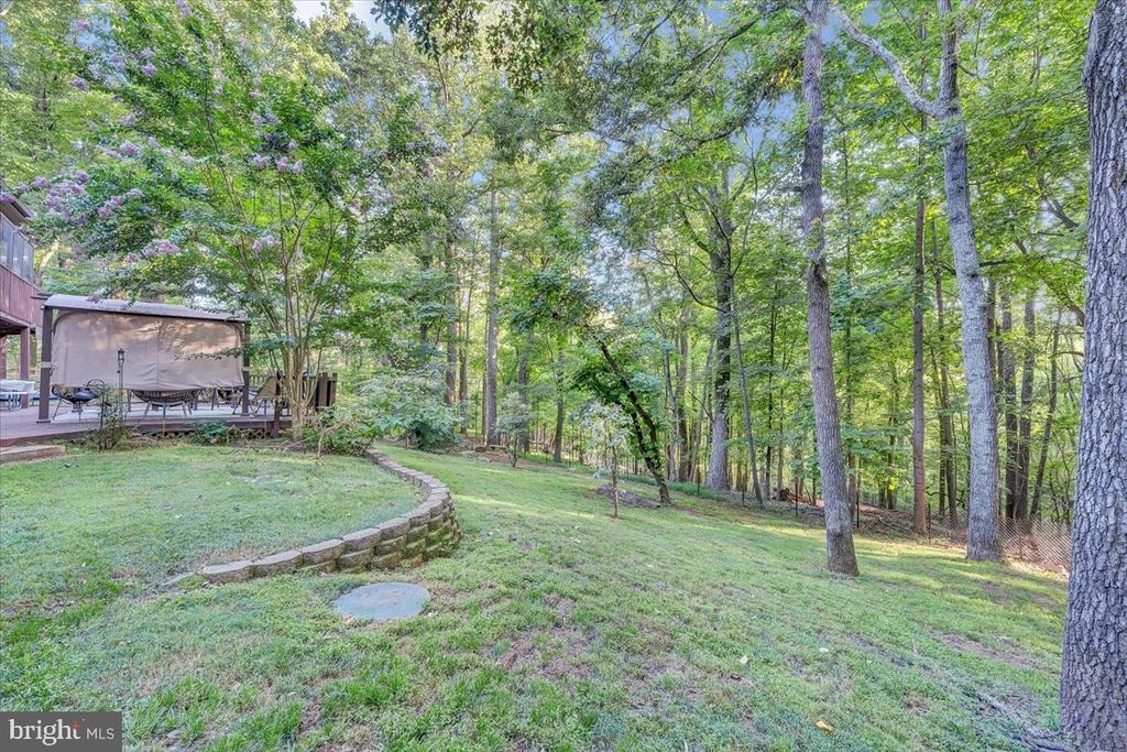 Saddleback Trl, Hardy, VA 24101 #1