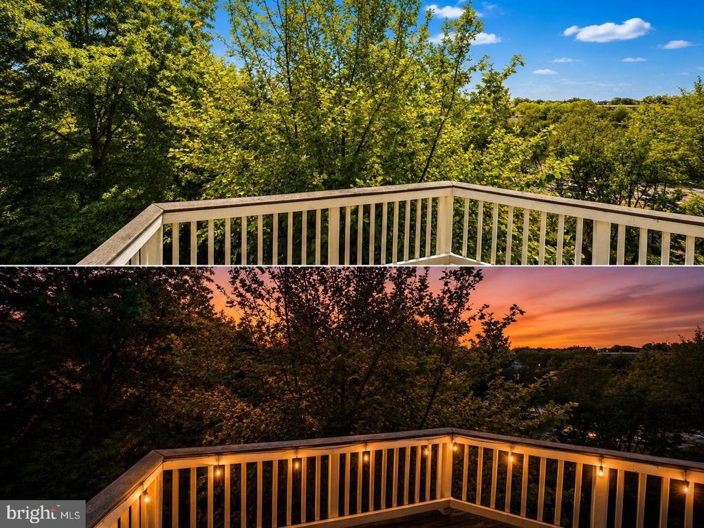 Trellis Sq, Brambleton, VA 20148 #1