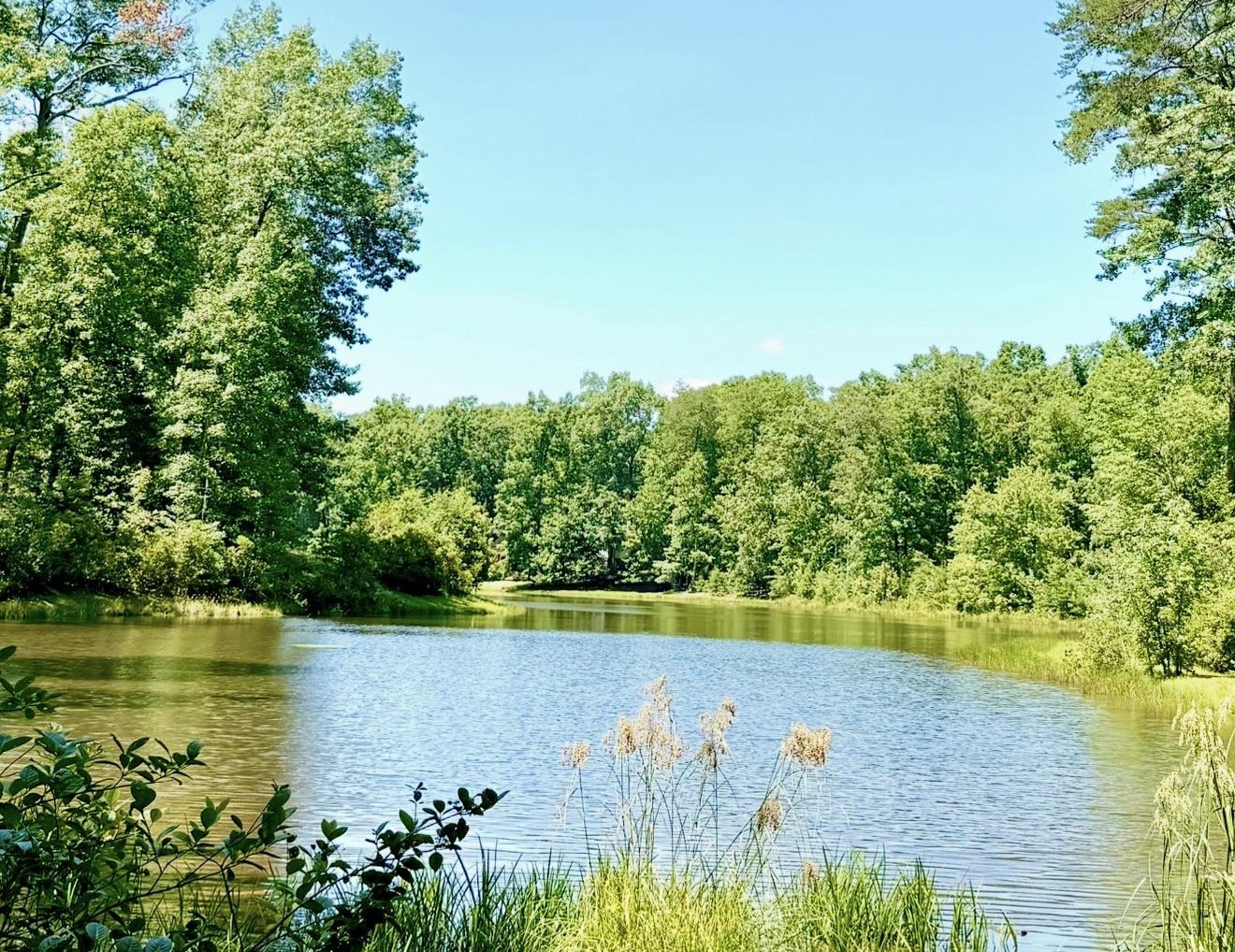 Catharines Furnace Ct, Spotsylvania, VA 22553 #1