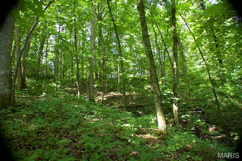 Old Ferry Rd, Morrison, MO 65061