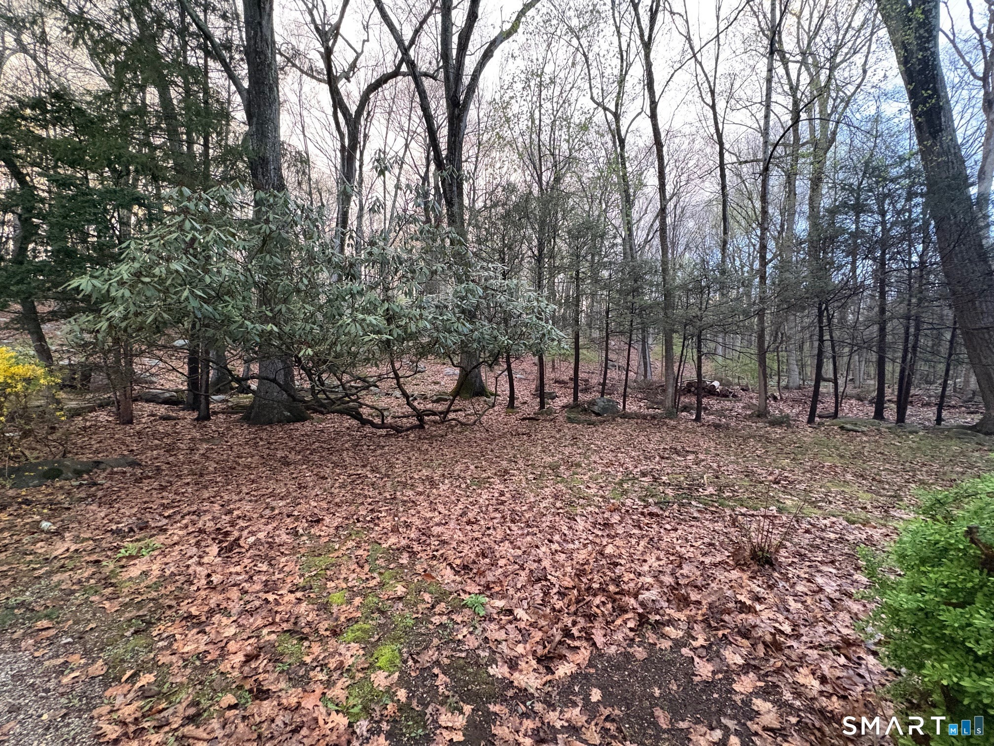 Raymond Ln, Wilton, CT 06897 #1