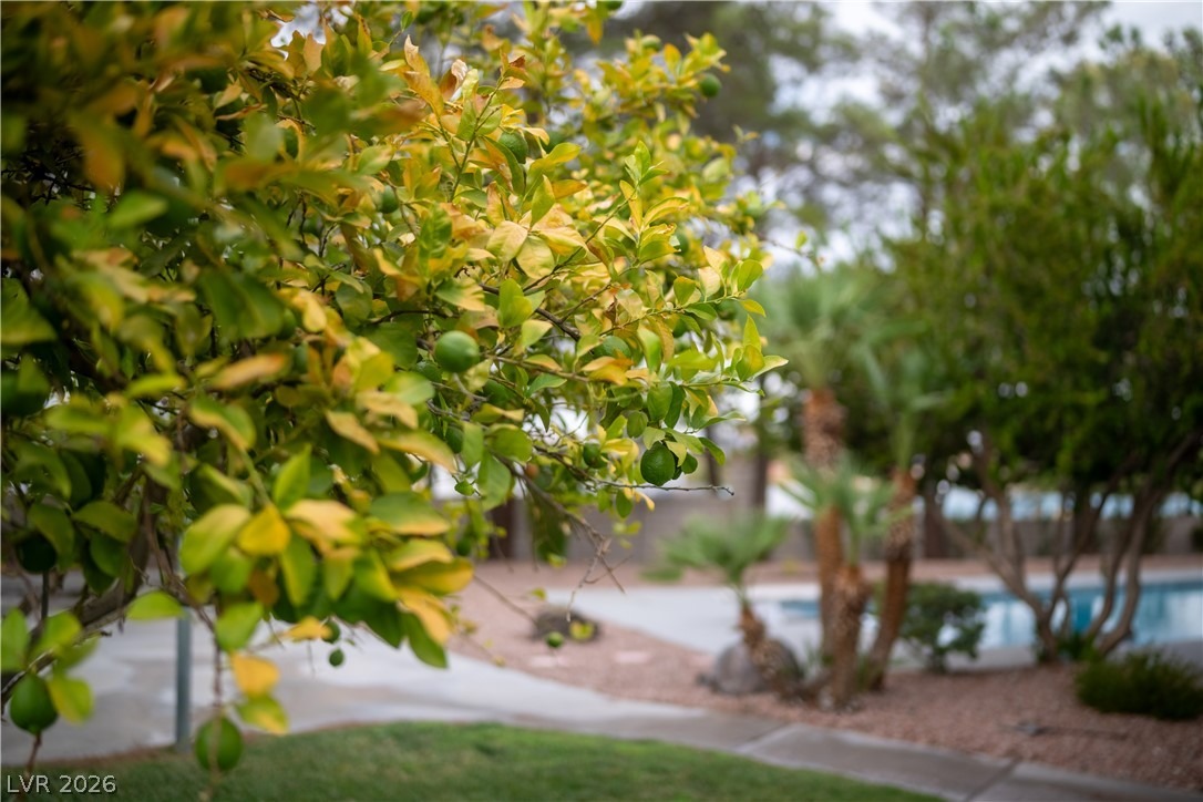 Hummingbird Cir, Henderson, NV 89014