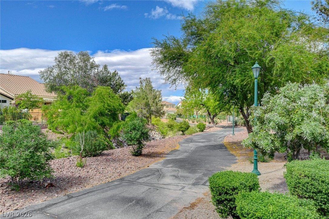 Staghorn St, Henderson, NV 89012 #1