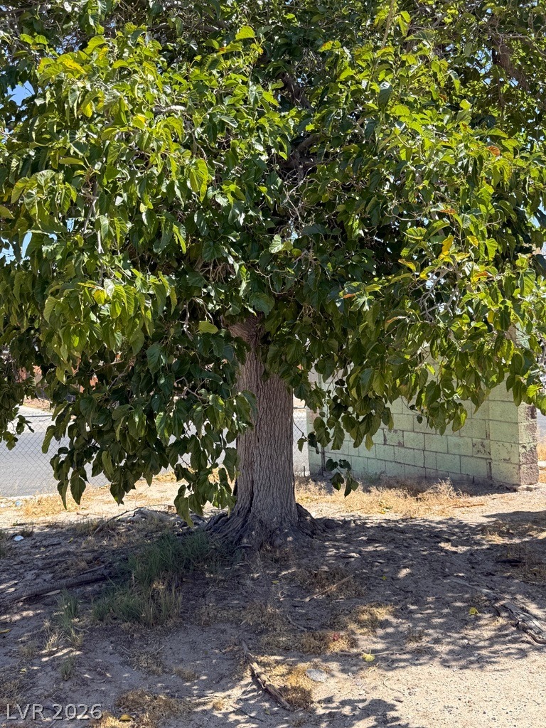 Ferndale St, Las Vegas, NV 89121