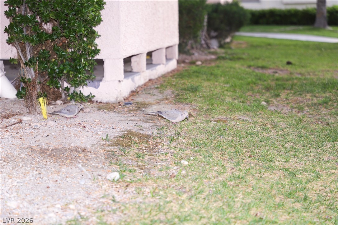 Torrey Pines Dr, Las Vegas, NV 89103