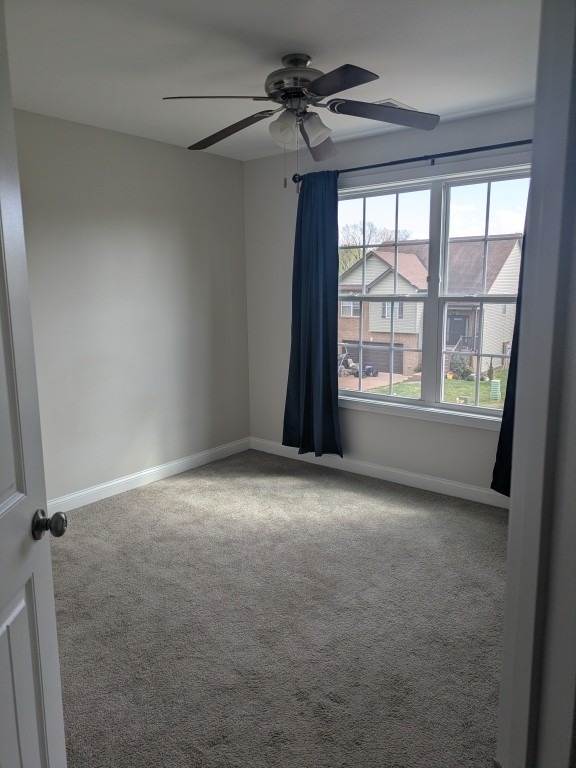 Snowshoe Ln, Clarksville, TN 37040