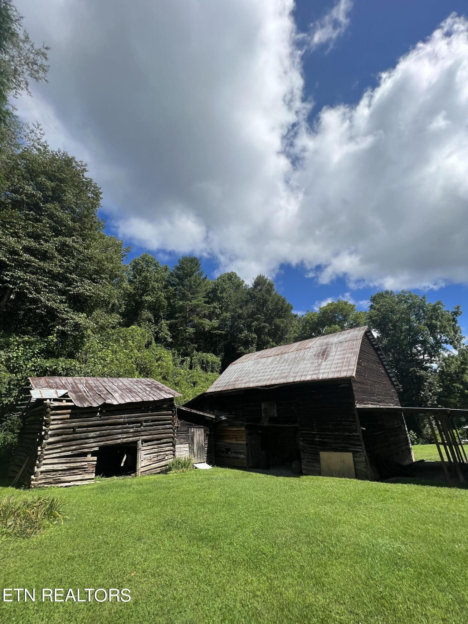 Johns Creek Rd, Del Rio, TN 37727 #1