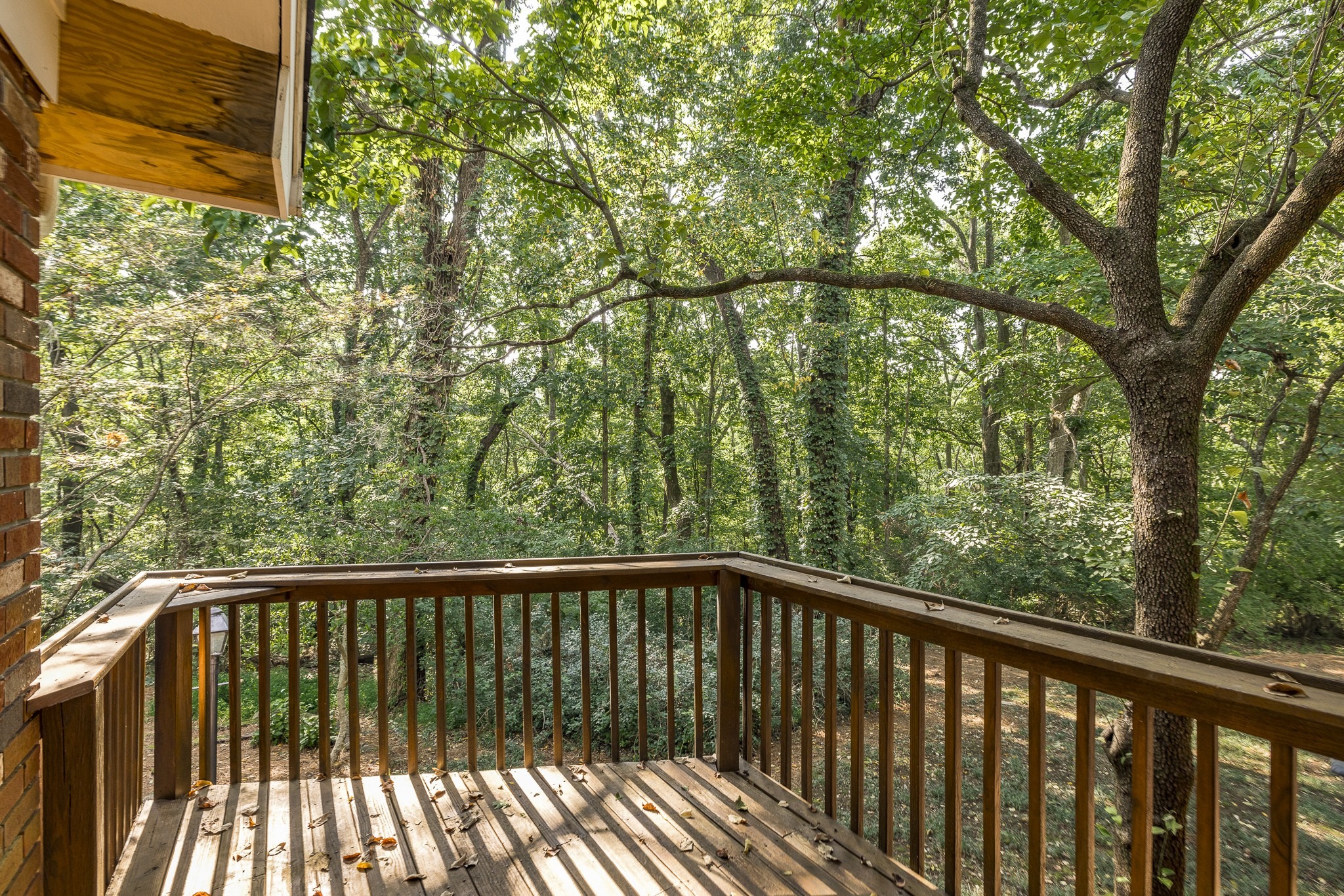 Moncrief Ave, Goodlettsville, TN 37072 #1