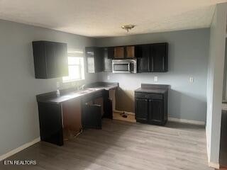 Jasmine Trl, Sevierville, TN 37862 #1