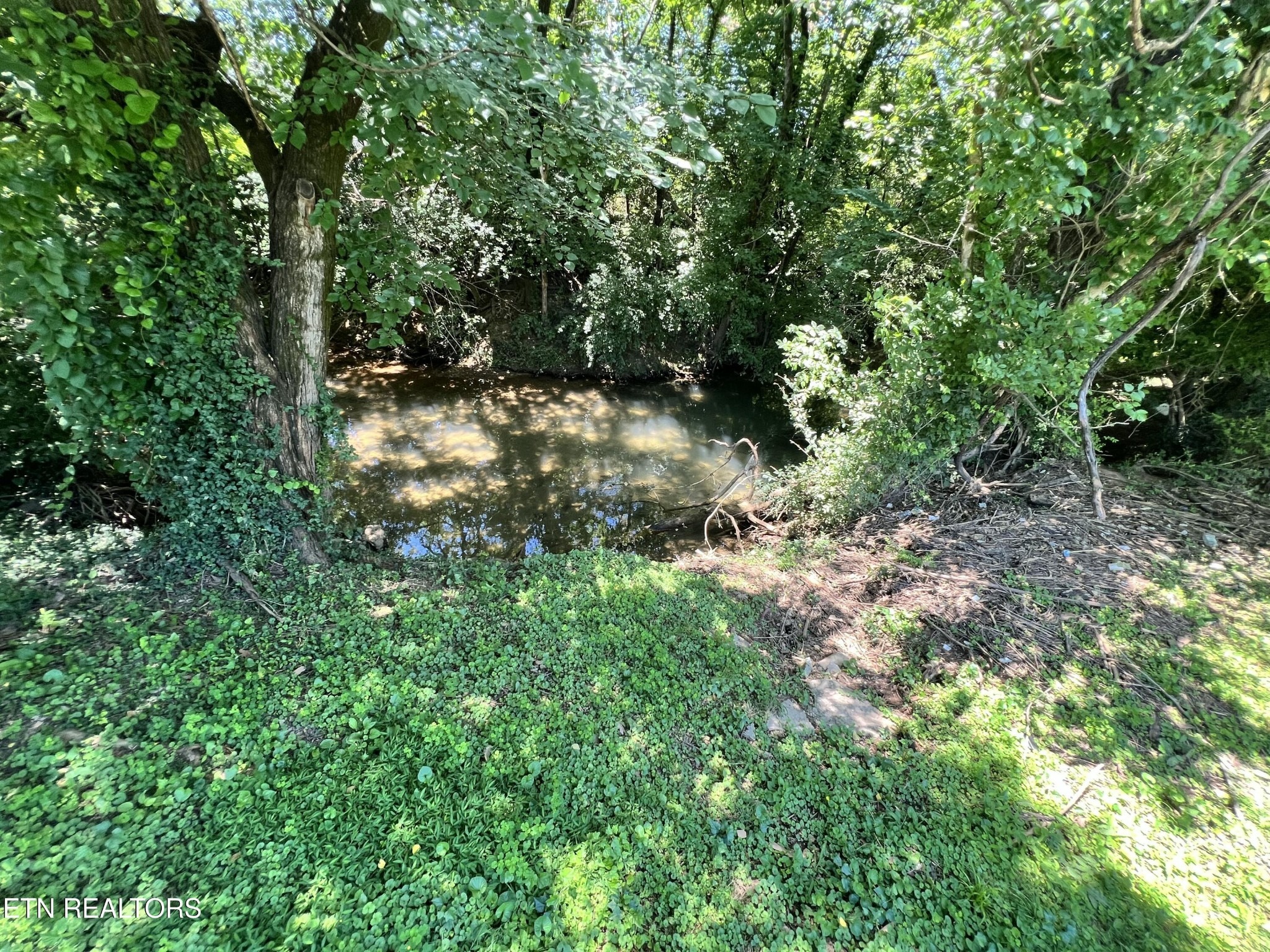 Reagan Ave, Knoxville, TN 37919