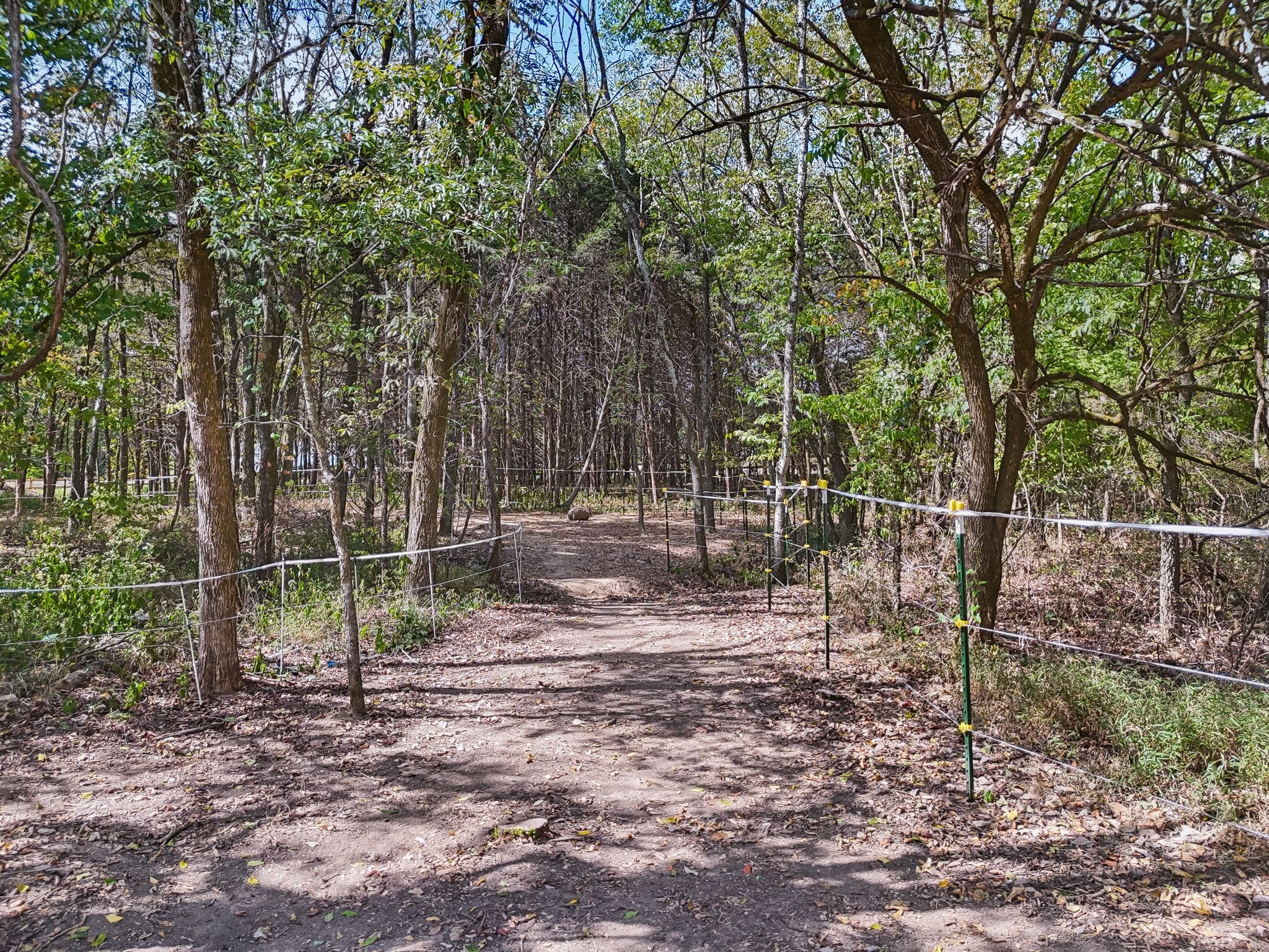 Poplar Hill Rd, Watertown, TN 37184