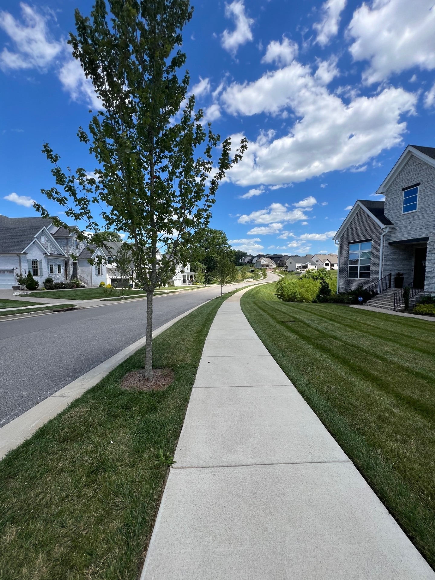 Sarah Bee Ln, Thompsons Station, TN 37179 #1