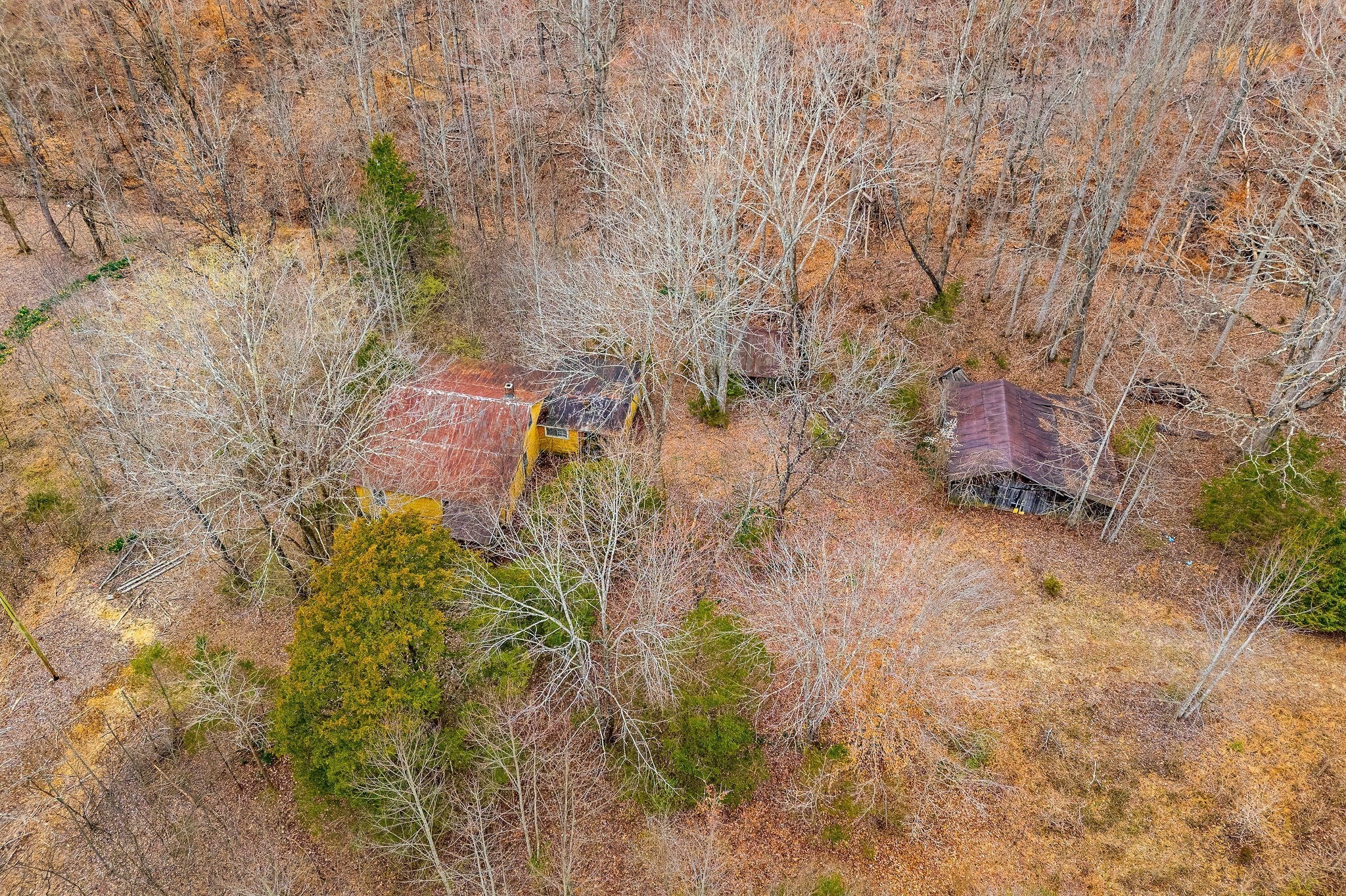 Crawford Rd, Silver Point, TN 38582 #1