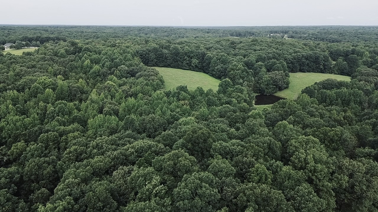 Louise Rd, Cumberland Furnace, TN 37051