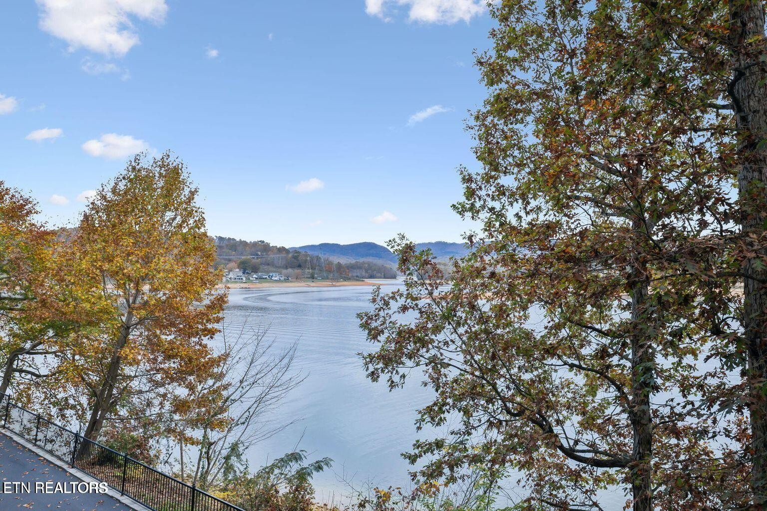 Sandpiper Ln, Bean Station, TN 37708 #1