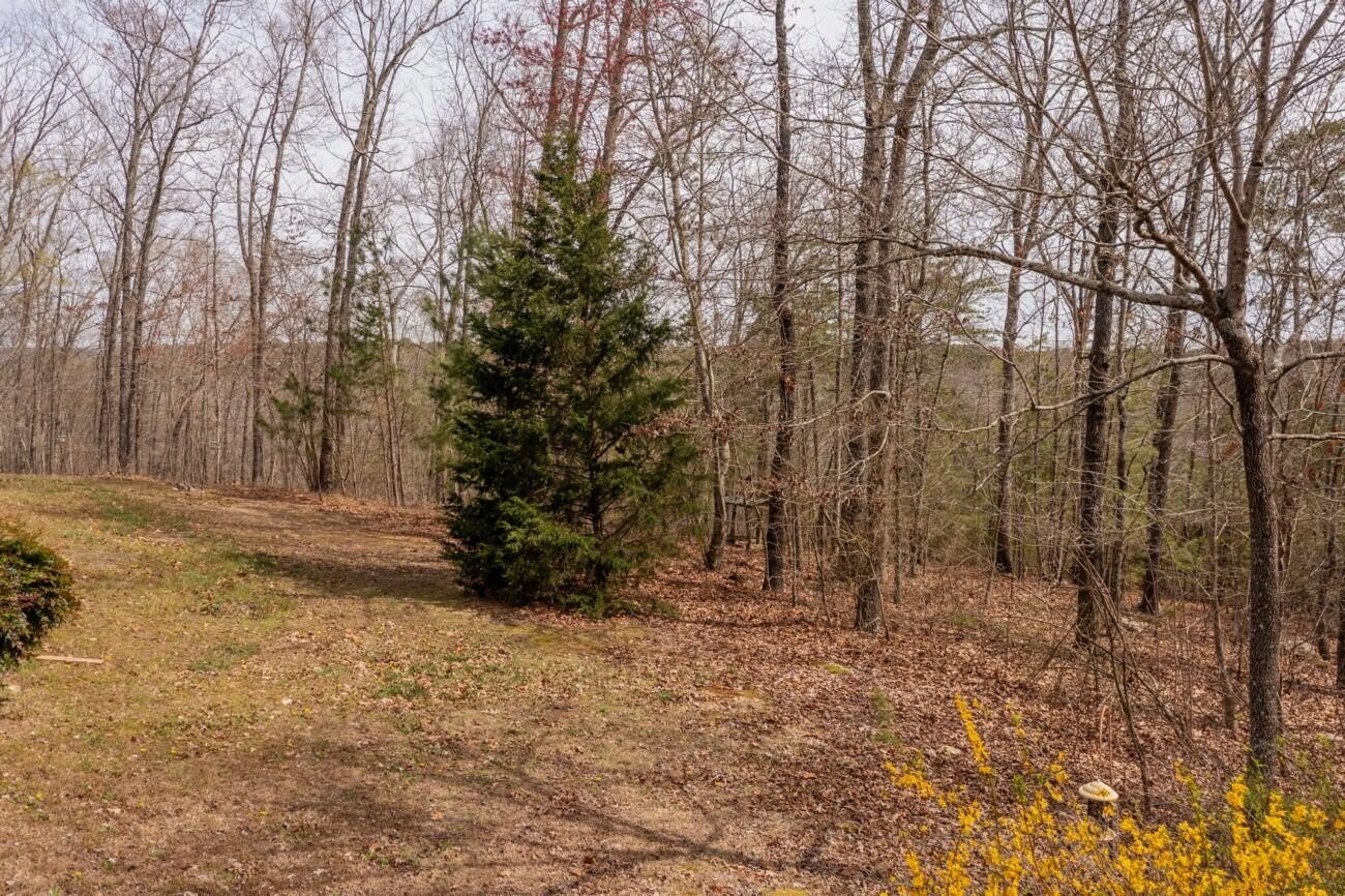 Teems Rd, Ringgold, GA 30736