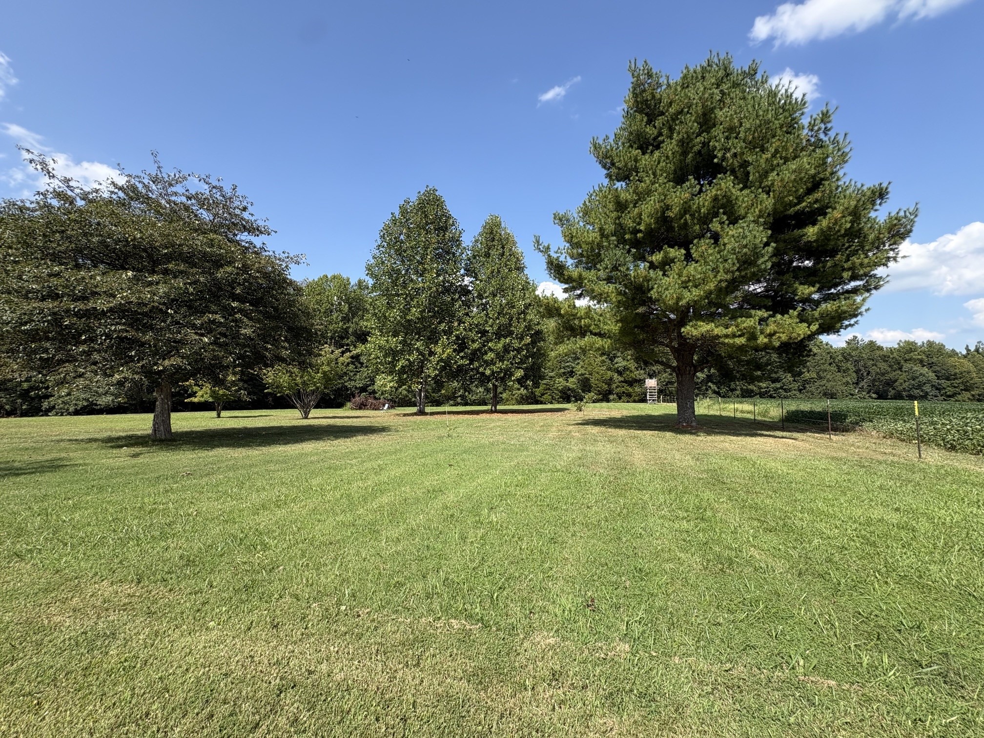 Robinson Ln, Westmoreland, TN 37186 #1