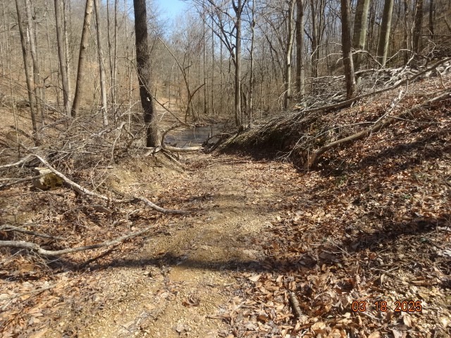 Whites Creek Pike, Whites Creek, TN 37189 #1