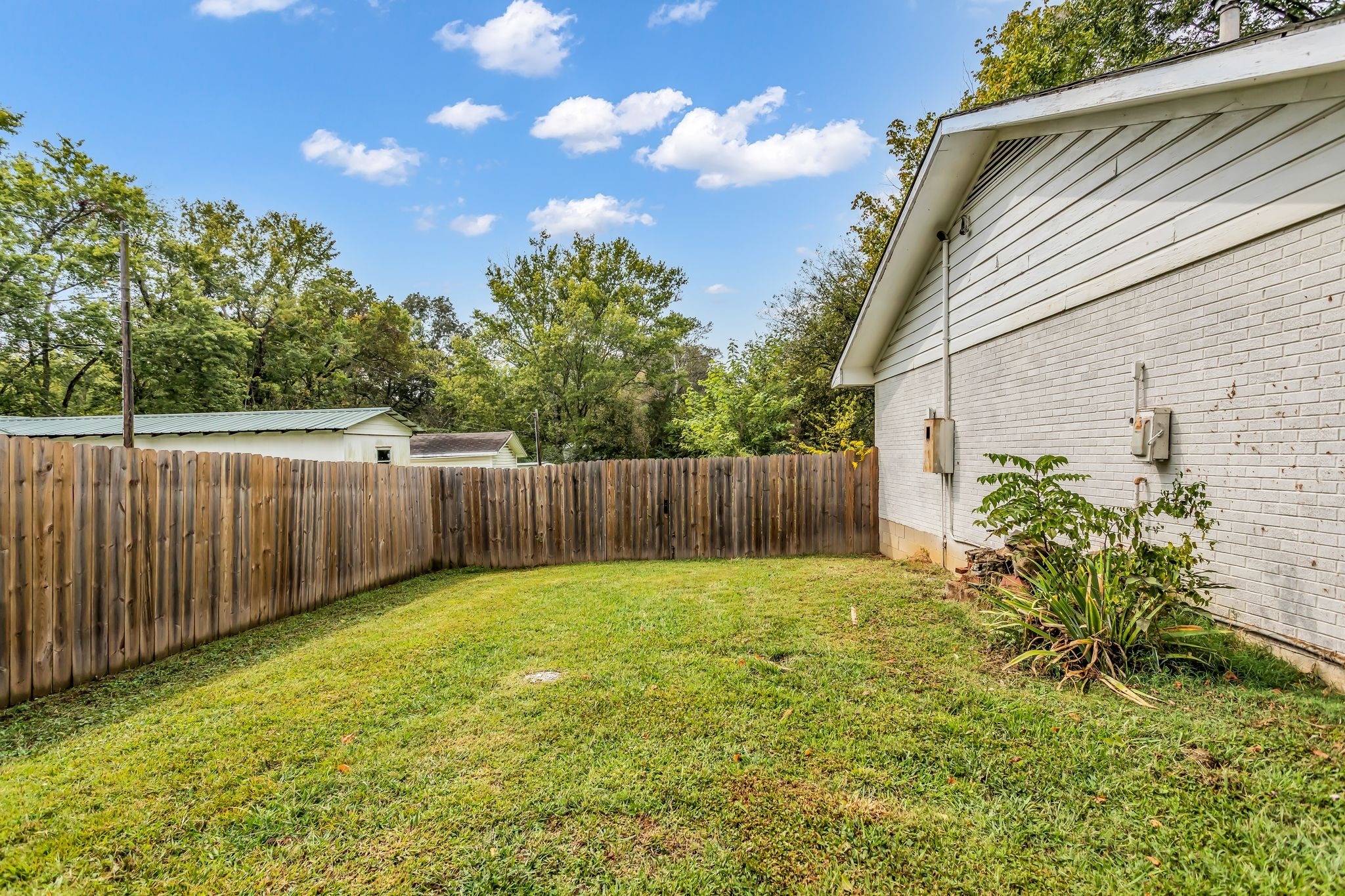 Walnut St, Hohenwald, TN 38462 #1