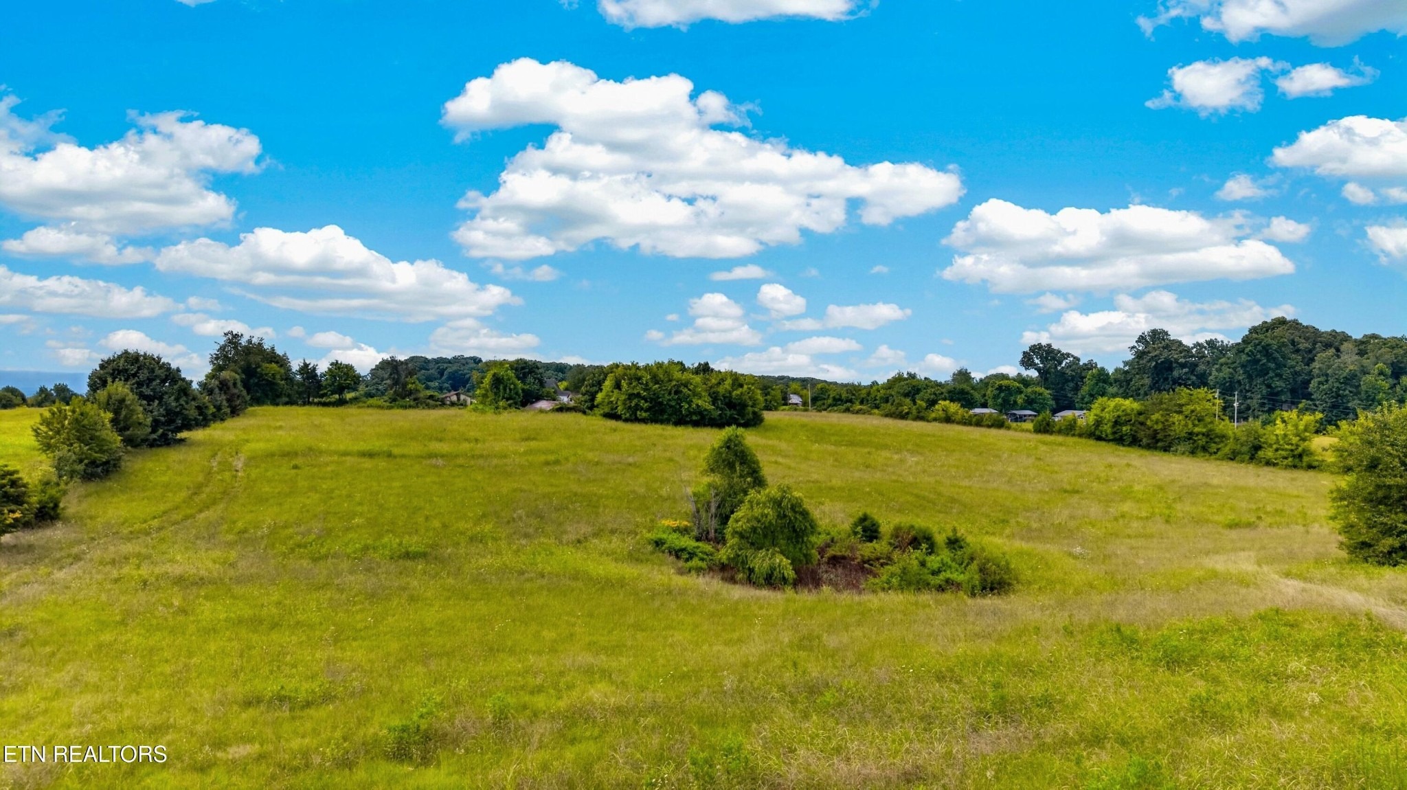 Wells Spring Rd, Dandridge, TN 37725 #1