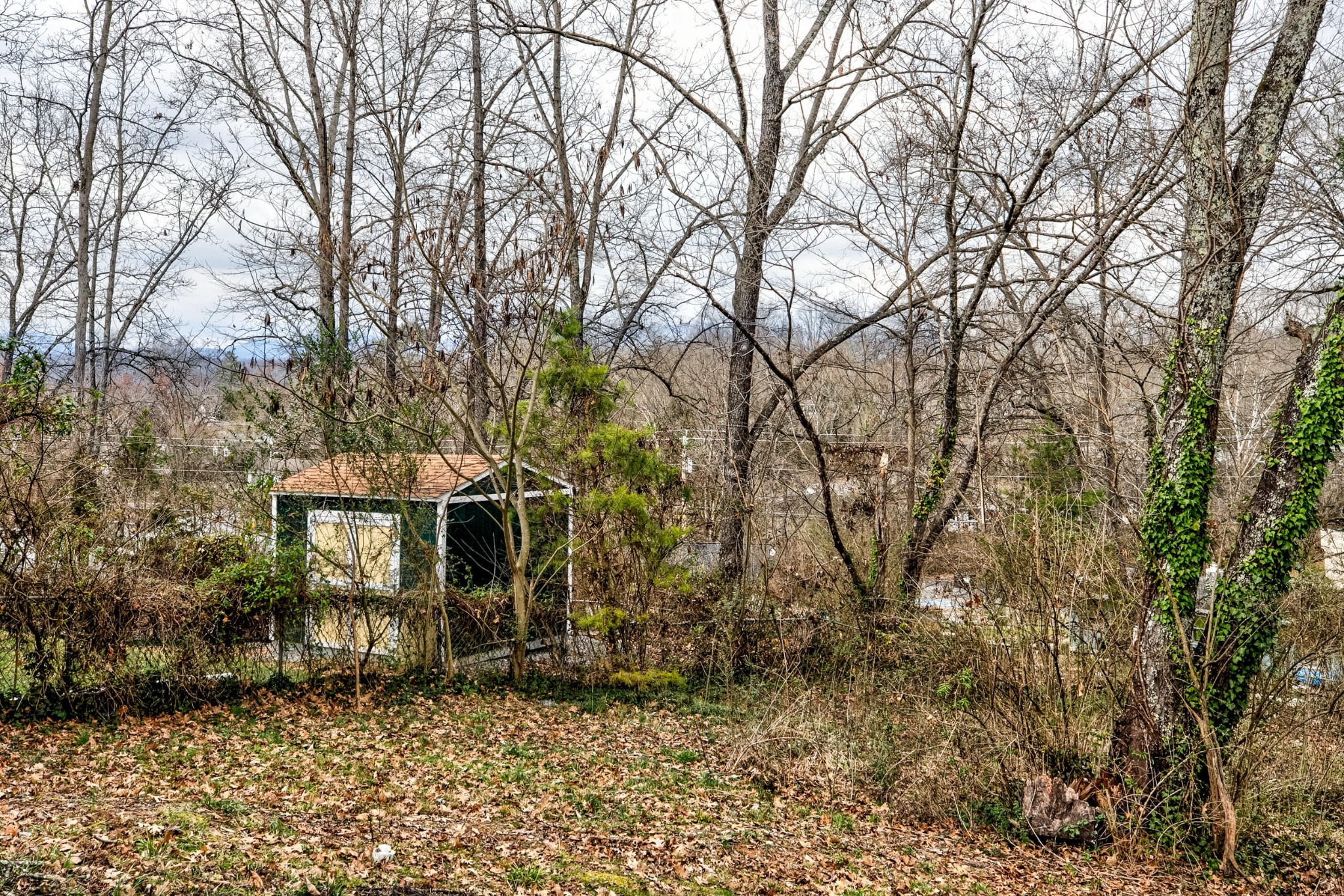 Princeton Ave, Oak Ridge, TN 37830