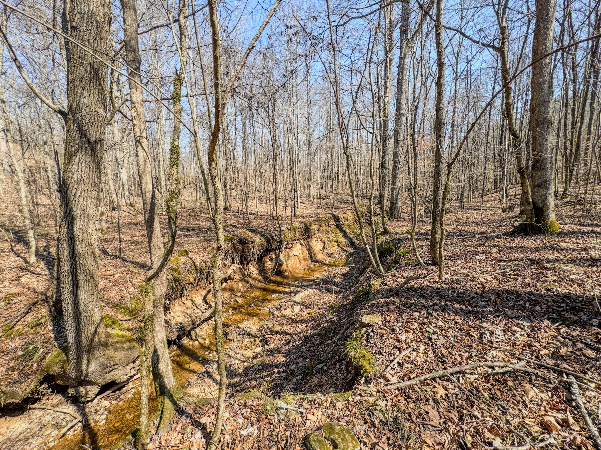 Roanoke Creek Rd, Collinwood, TN 38450 #1