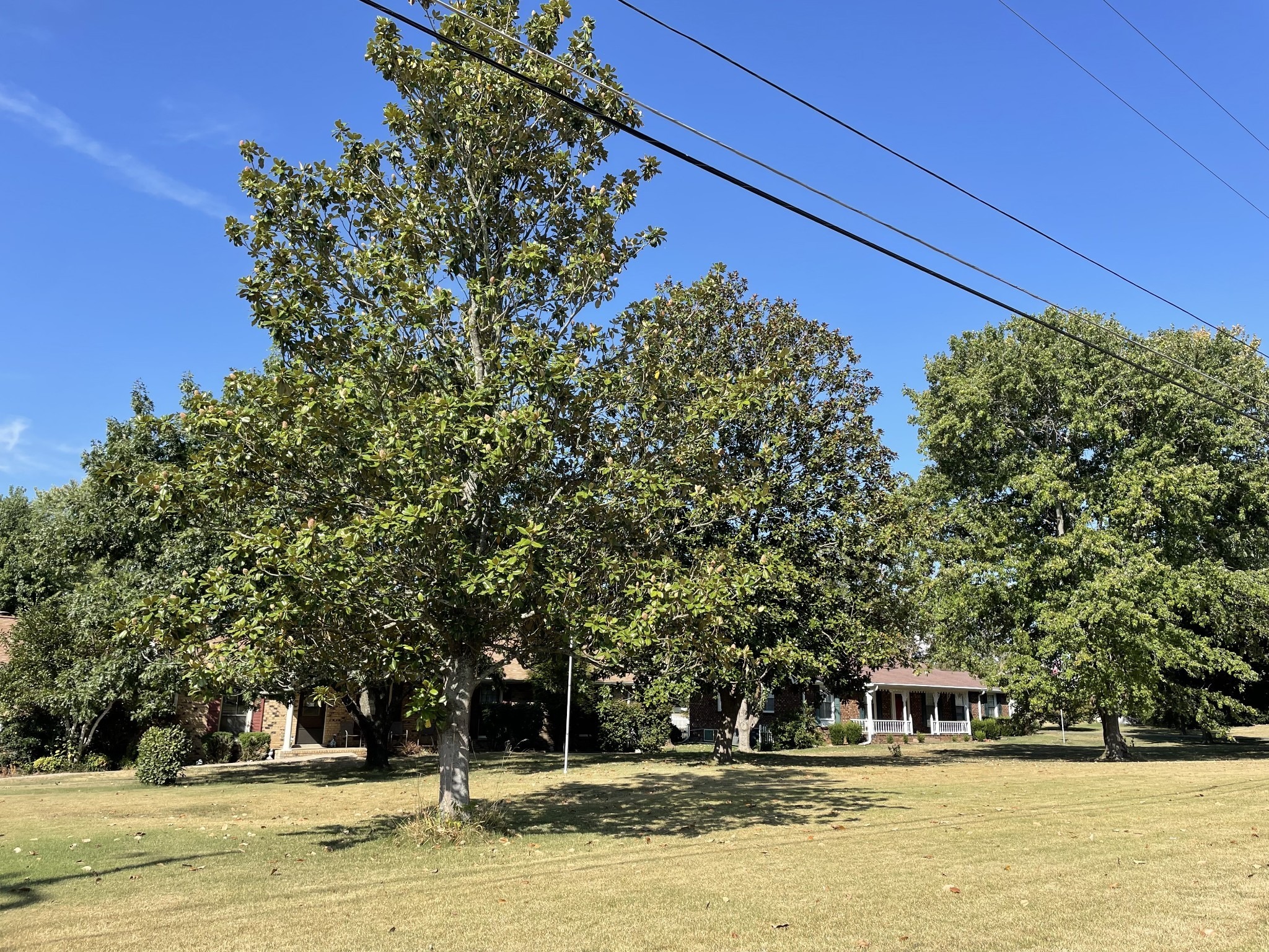 Briarwood Dr, Greenbrier, TN 37073