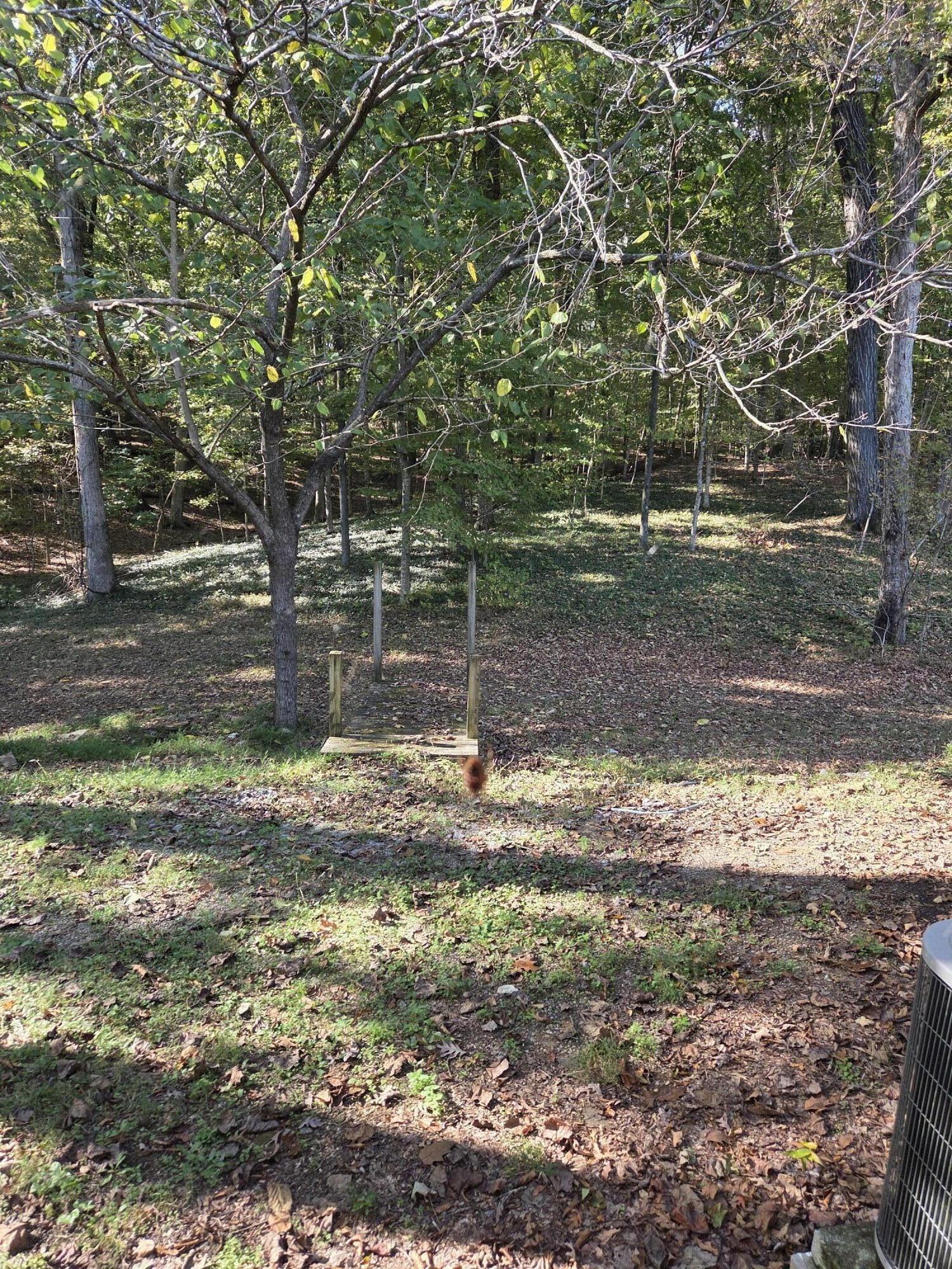 Canary Dr, Cleveland, TN 37312