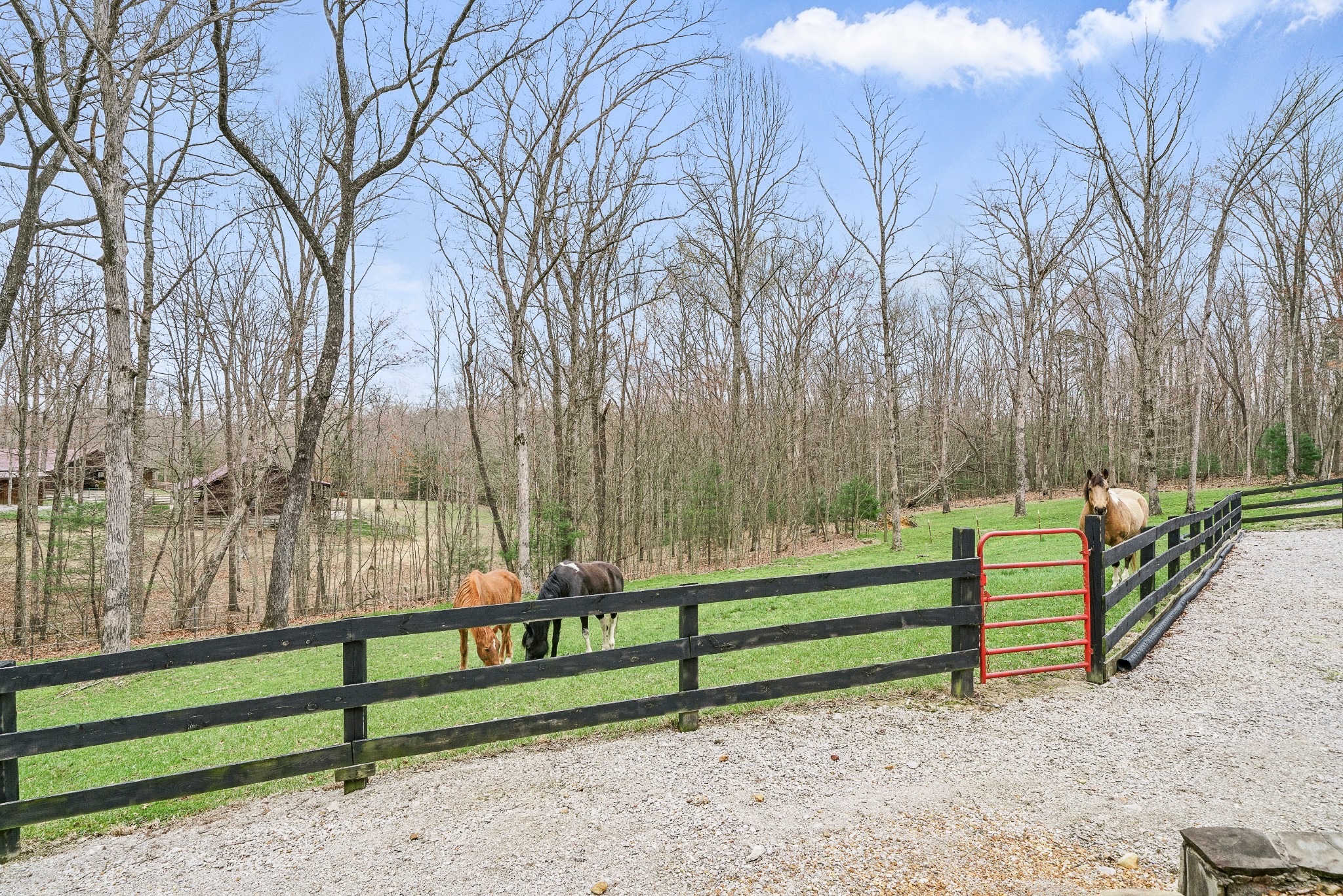 Wild Cat Rd, Jamestown, TN 38556