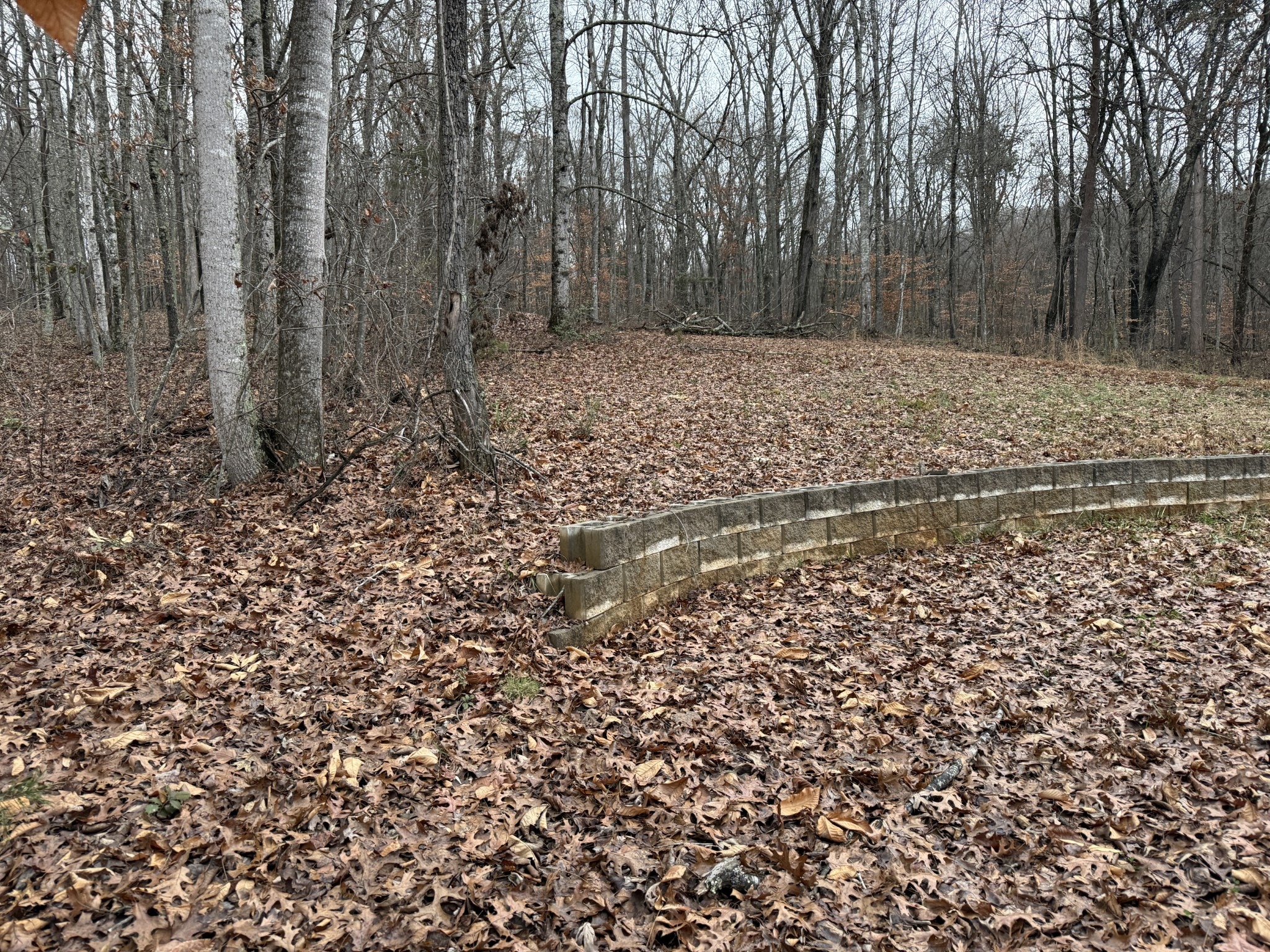 College Grove Rd, Rockwood, TN 37854 #1